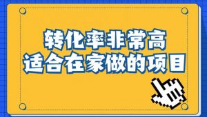 小红书虚拟电商项目:从小白到精英(视频课程+交付手册)-知乎者也
