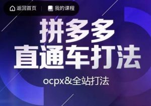 互力·拼多多直通车打法,ocpx&全站打法-知乎者也