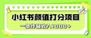 最新蓝海项目,小红书颜值打分项目,一条作品收入1000+【揭秘】-知乎者也