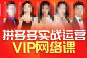 推易拼多多VIP全套直播课程，拼多多店铺实操玩法+实战玩法选款内功+直通车高阶等-知乎者也