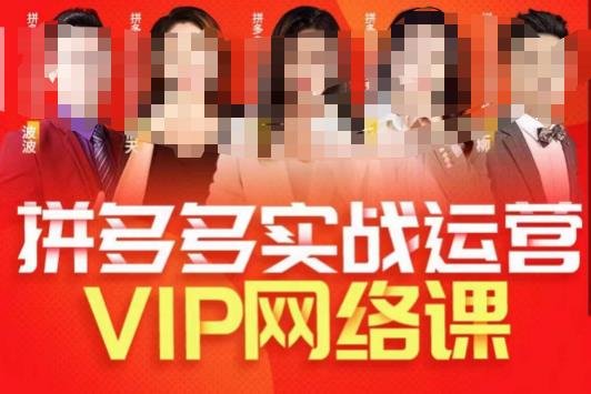 推易拼多多VIP全套直播课程，拼多多店铺实操玩法+实战玩法选款内功+直通车高阶等-知乎者也
