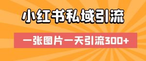 小红书私域引流,一张图片一天引流300+【揭秘】-知乎者也