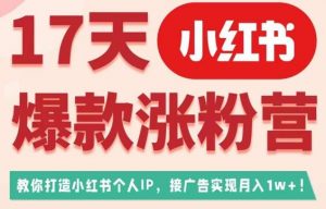 17天小红书爆款涨粉营(广告变现方向),教你打造小红书博主IP、接广告变现的-知乎者也