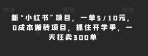 新“小红书”项目,一单5/10元,0成本搬砖项目,抓住开学季,一天狂卖300单【揭秘】-知乎者也