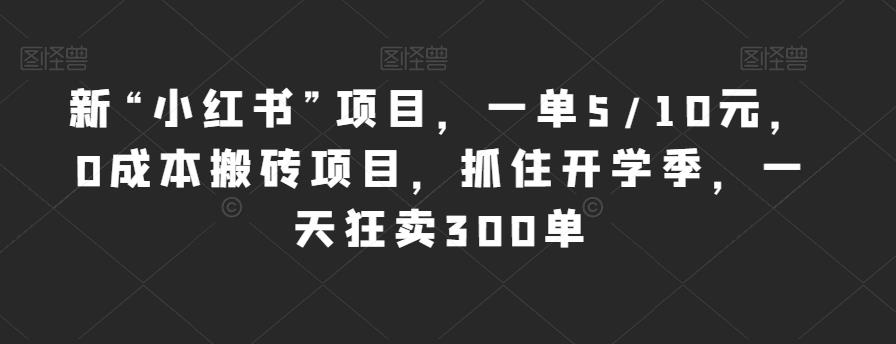 新“小红书”项目，一单5/10元，0成本搬砖项目，抓住开学季，一天狂卖300单【揭秘】-知乎者也