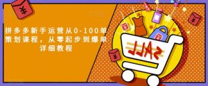 拼多多新手运营从0-100单策划课程,从零起步到爆单详细教程-知乎者也