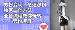 男粉变现,急速涨粉独家二创方法,全套流程教你玩转“男粉项目”【揭秘】-知乎者也