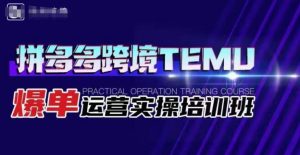 拼多多跨境TEMU爆单运营实操培训班,海外拼多多的选品、运营、爆单-知乎者也