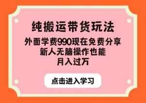 纯搬运带货玩法,外面学费990现在免费分享,新人无脑操作也能月入过万【揭秘】-知乎者也
