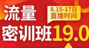 秋秋线上流量密训班19.0，打通流量关卡，线上也能实战流量破局-知乎者也