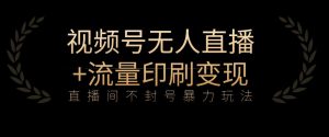 全网首发视频号不封号无人直播暴利玩法+流量印刷机变现,日入1000+【揭秘】-知乎者也