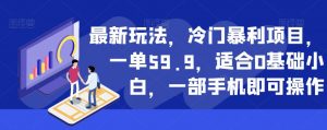 最新玩法,冷门暴利项目,一单59.9,适合0基础小白,一部手机即可操作【揭秘】-知乎者也