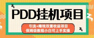 拼多多挂机项目引流+赚钱双重收益项目(保姆级教程小白可上手实操)【揭秘】-知乎者也