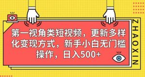 第一视角类短视频,更新多样化变现方式,新手小白无门槛操作,日入500+【揭秘】-知乎者也