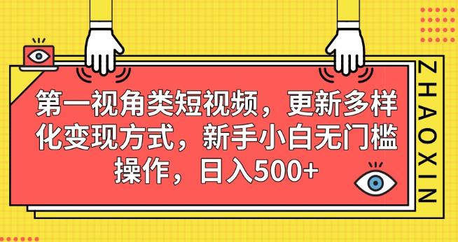 第一视角类短视频，更新多样化变现方式，新手小白无门槛操作，日入500+【揭秘】-知乎者也