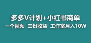 【蓝海项目】多多v计划+小红书商单一个视频三份收益工作室月入10w-知乎者也