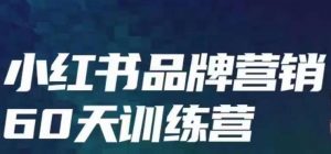 小红书品牌60天训练营第6期,GMV2亿级品牌老板都在学,教会你内容营销底层逻辑-知乎者也