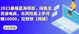 2023最强蓝海项目,闲鱼无货源电商,无风险易上手月赚10000,见效快【揭秘】-知乎者也