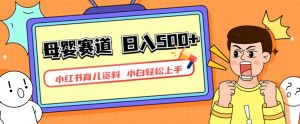 小红书育儿资料,一部手机可操作,多种变现方式,日入500+,私域变现,长期可持续项目【揭秘】-知乎者也
