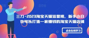 三刀·2023淘宝天猫运营班,新手小白也可以打造一家赚钱的淘宝天猫店铺-知乎者也