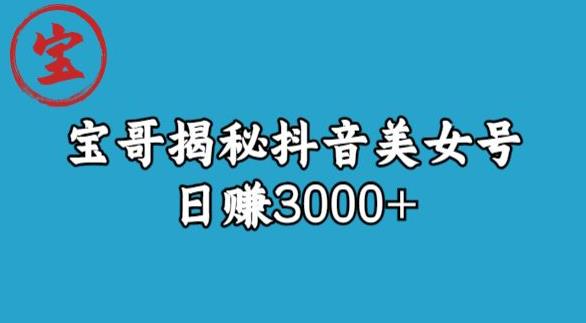 宝哥揭秘抖音美女号玩法,日赚3000+【揭秘】-知乎者也