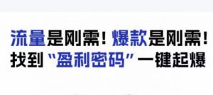 电商盈利精品课:6大盈利密码让产品更好卖,流量是刚需!爆款是刚需!找到”盈利密码”一键起爆-知乎者也