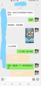 外边收费3980的同城萌宠项目,用最冷门的玩法冲击最热门的市场【揭秘】-知乎者也