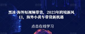 黑冰·海外短视频带货，2023年跨境新风口，海外小黄车带货新机遇-知乎者也
