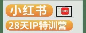 28天小红书博主IP特训营(第3期)实战经验,快速涨粉,迅速变现-知乎者也