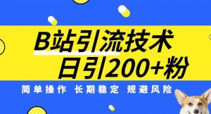 B站引流技术：每天引流200精准粉，简单操作，长期稳定，规避风险-知乎者也