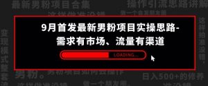 9月首发最新男粉项目实操思路-需求有市场,流量有渠道【揭秘】-知乎者也