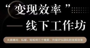 变现效率线下工作坊，从‮播直‬间、私域、‮视短‬频‮个三‬维度，升级IP和团队变现效率-知乎者也