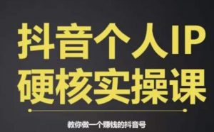 个人IP创富系统实战课,商业定位,流量打造,短视频变现,教你做个赚钱的抖音号-知乎者也