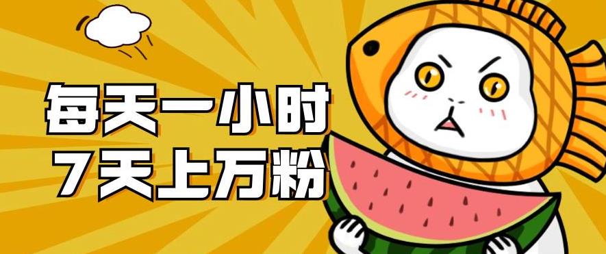 暴力涨粉项目:每天一小时,七天上万粉【揭秘】-知乎者也