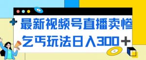 最新视频号直播卖惨乞讨玩法,流量嘎嘎滴,轻松日入300+-知乎者也
