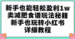 新手也能轻松盈利1w，卖减肥食谱玩法秘籍，新手也玩转小红书详细教程【揭秘】-知乎者也