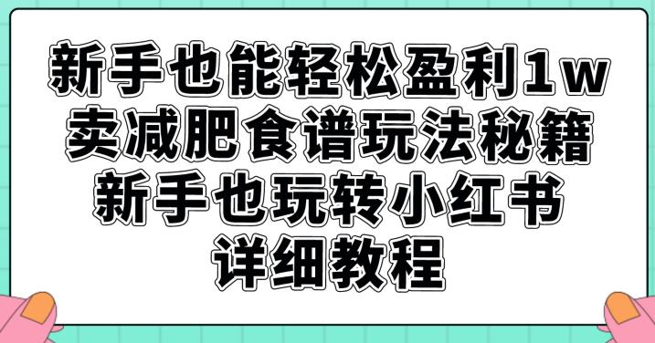 新手也能轻松盈利1w，卖减肥食谱玩法秘籍，新手也玩转小红书详细教程【揭秘】-知乎者也