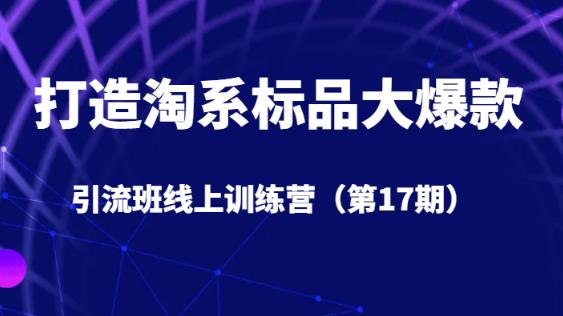 打造淘系标品大爆款引流班线上训练营(第17期)5天直播授课-知乎者也