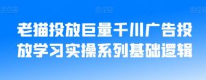 老猫投放巨量千川广告投放学习实操系列基础逻辑-知乎者也