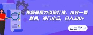 视频号暴力引流打法,小白一看就会,冷门小众,日入300+【揭秘】-知乎者也