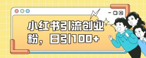 小红书引流创业粉,日引100+【揭秘】-知乎者也