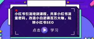 小红书引流培训课程,共享小红书流量密码,改造小白逆袭百万大咖,玩转小红书SEO-知乎者也