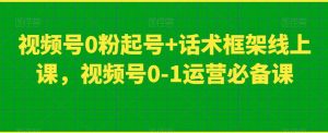 视频号0粉起号+话术框架线上课,视频号0-1运营必备课-知乎者也