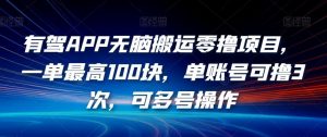 有驾APP无脑搬运零撸项目,一单最高100块,单账号可撸3次,可多号操作【揭秘】-知乎者也