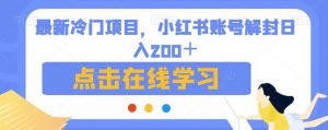 最新冷门项目，小红书账号解封日入200＋【揭秘】-知乎者也