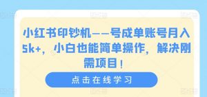 小红书印钞机——号成单账号月入5k+,小白也能简单操作,解决刚需项目【揭秘】-知乎者也