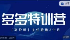 纪主任·多多特训营高阶班【9月13日更新】,拼多多最新玩法技巧落地实操-知乎者也