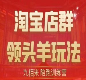 九栢米-淘宝店群领头羊玩法，教你整个淘宝店群领头羊玩法以及精细化/终极蓝海/尾销等内容-知乎者也