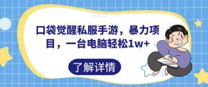 口袋觉醒私服手游,暴力项目,一台电脑轻松1w+【揭秘】-知乎者也