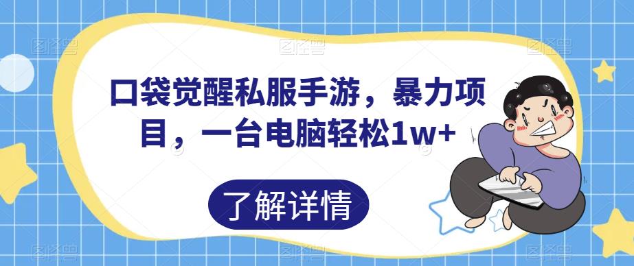 口袋觉醒私服手游,暴力项目,一台电脑轻松1w+【揭秘】-知乎者也